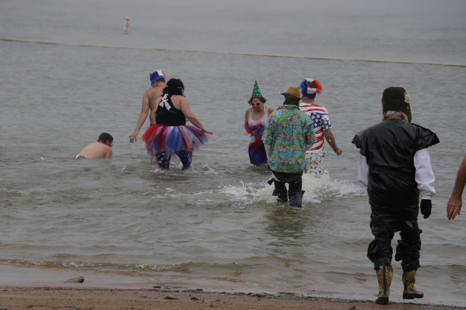 Polar Plunge
